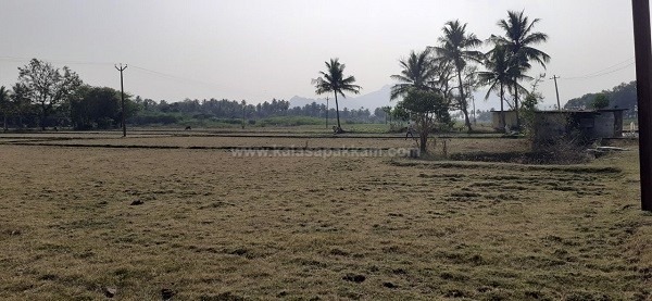 கலசபாக்கம் அடுத்த வில்வாரணி பகுதியில் விவசாய நிலம் குத்தகைக்கு!