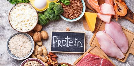 How Protein Naturally Supports Fat Loss