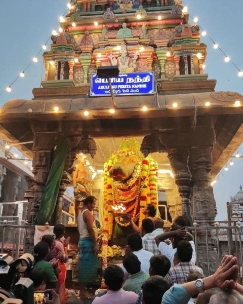 திருவண்ணாமலை அருணாச்சலேஸ்வரர் கோவிலில் மாசி மாத பௌர்ணமி பிரதோஷம்!