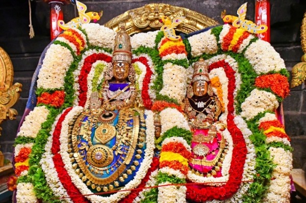 திருவண்ணாமலை அருள்மிகு அருணாசலேஸ்வரர் திருக்கோயில் சித்திரை வசந்த உற்சவம் ஏழாம் நாள்!