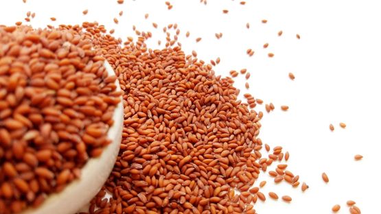 Why Garden Cress Seeds Are Considered a Nutritional Powerhouse